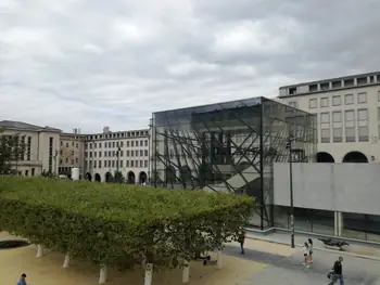 Brussels (Belgium)